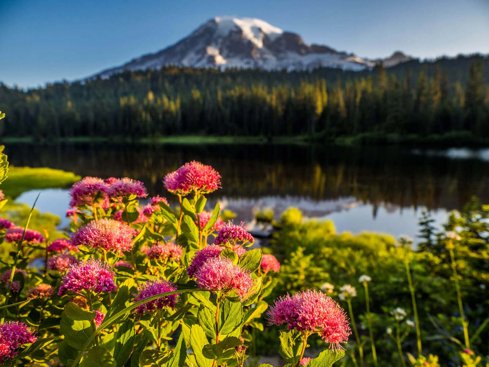 about-service-area-left